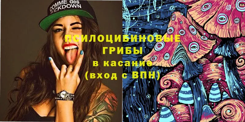 Псилоцибиновые грибы мицелий Кирс